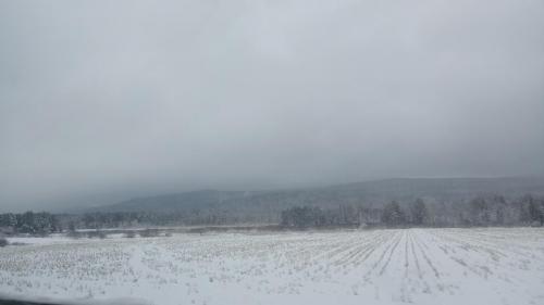 Snow-covered fields along Rte 166